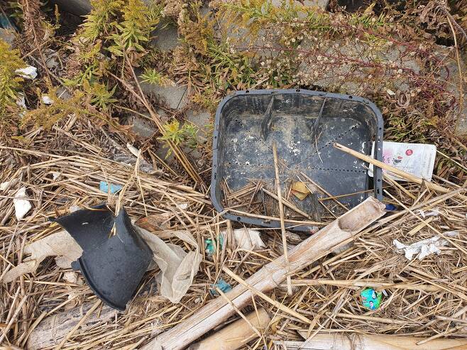 지난달 25일 상하이 인근 양쯔강 하구 난후이의 강변에서 찾은 쓰레기들. 진창일 기자