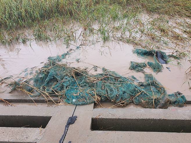 지난달 25일 양쯔강 하구 난후이 강변에 엉킨 폐그물이 버려져 있다. 진창일 기자