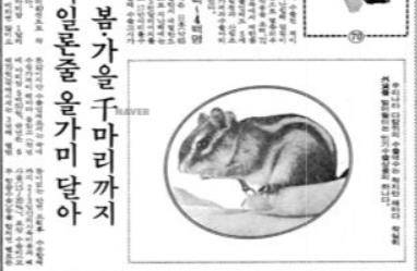 다람쥐 등 이색적인 수출품을 다룬 기사(경향신문 1977년 10월 26일자). 다람쥐 등 이색적인 수출품을 다룬 기사(경향신문 1977년 10월 26일자).