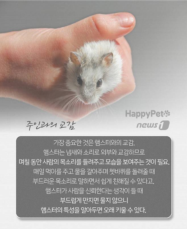 © 뉴스1