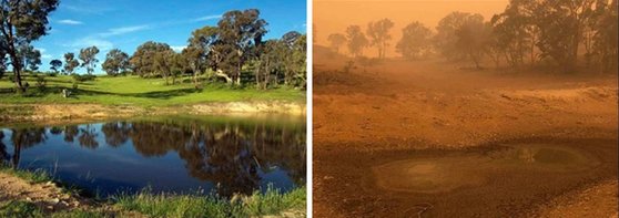 호주 캔버라의 야생동물 보호구역 화재 전(왼쪽)과 후의 모습. [사진 트위터]