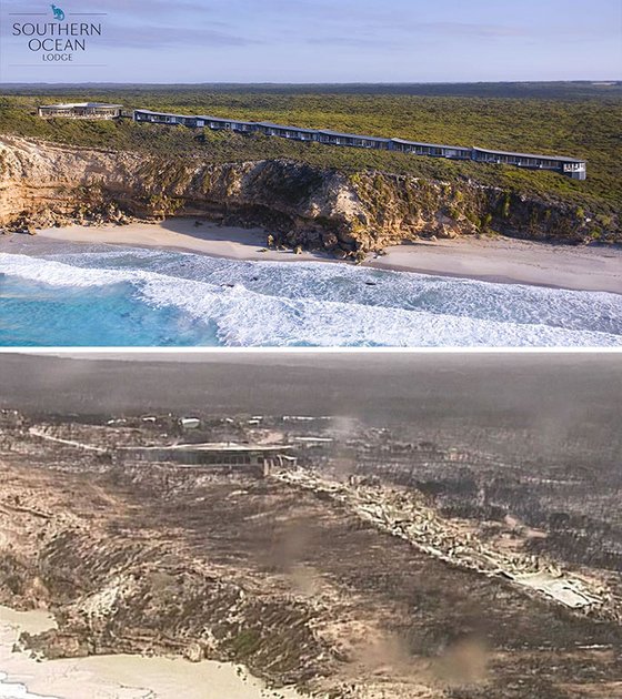 호주 사우스오스트일리아 주 캥거루 섬 해안의 화재 전(위)과 후의 모습. [사진 트위터]