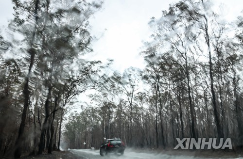 호주 NSW주 산불 지역에 비가 내리는 장면 (Xinhua/Bai Xuefei)