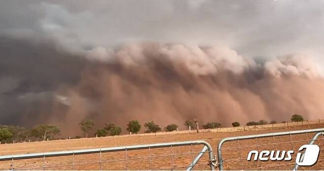 호주 뉴사우스웨일즈 주를 덮친 거대 먼지폭풍. (BBC 영상 캡처)© 뉴스1