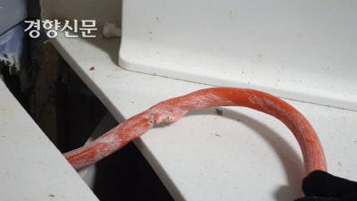 연립주택에서 발견된 파손된 가스공급 호스. 제주소방서 제공.