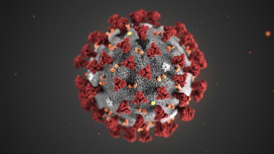 신종 코로나바이러스 형상화 이미지. 미국 질병통제예방센터 홈페이지 캡처