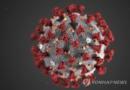 CDC가 3차원 그래픽으로 구현한 코로나19 바이러스의 외부 구조 [AFP=연합뉴스]
