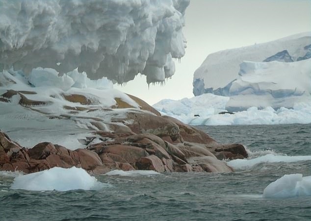 남극대륙 스웨이츠 빙하가 녹아내리면서, 빙하에 덮여있던 작은 섬이 처음으로 모습을 드러냈다.