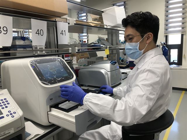 기초과학연구원(IBS)의 한 연구원이 유전자를 증폭하는 기기를 이용해 실험을 진행하고 있다. IBS 제공