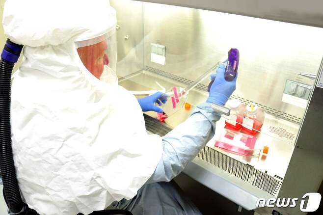 미국 바이오기업 모더나 테라퓨틱스가 개발중인 코로나19 백신 후보물질 mRNA-1273이 처음으로 사람을 대상으로 임상시험에 들어갔다. 사진은 코로나19 관련 실험중인 연구원 © AFP=뉴스1