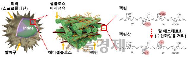 해바리기 꽃가루 입자를 알칼리성 용액에 배양하며 전통적인 비누제조 방식으로 물성을 변화시키는 과정. /사진=난양공