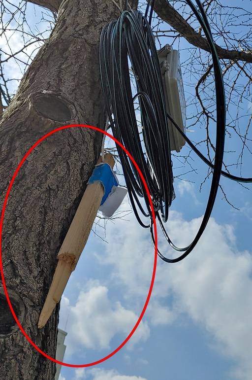 지난 19일 서울 청계천 인근 가로수에는 현수막에 사용된 각목이 강풍에 떨어질 듯 흔들리고 있다.