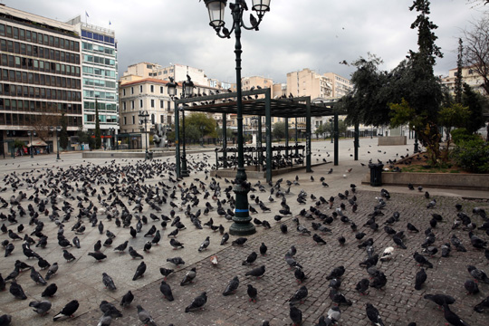 비둘기로 꽉 찬 광장 : 23일 인적이 끊긴 그리스 아테네의 한 광장에 비둘기 떼만이 빈자리를 채우고 있다. 그리스는 신종 코로나바이러스 전염병(코로나19) 확산을 막기 위해 전날 전 국민 이동 제한을 발표했다. EPA 연합뉴스