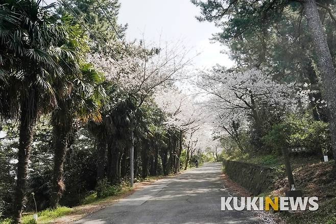 삼양동 마을이 안겨 있는 원당봉은 산책로가 마치 공원처럼 잘 가꾸어져 있다.