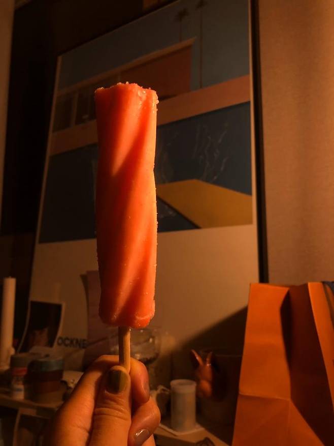 제리 다이어트 도시락