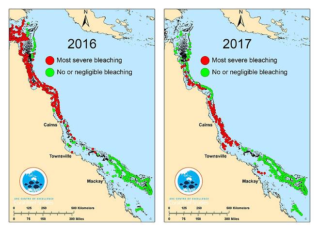 2016년과 2017년 호주 그레이트배리어리프의 백화현상 현황. 빨간색은 백화현상이 일어난 지역, 초록색은 백화현상이 일어나지 않거나 발생 규모가 작은 지역. 호주연구협의회(ARC) 산호초연구센터 제공.