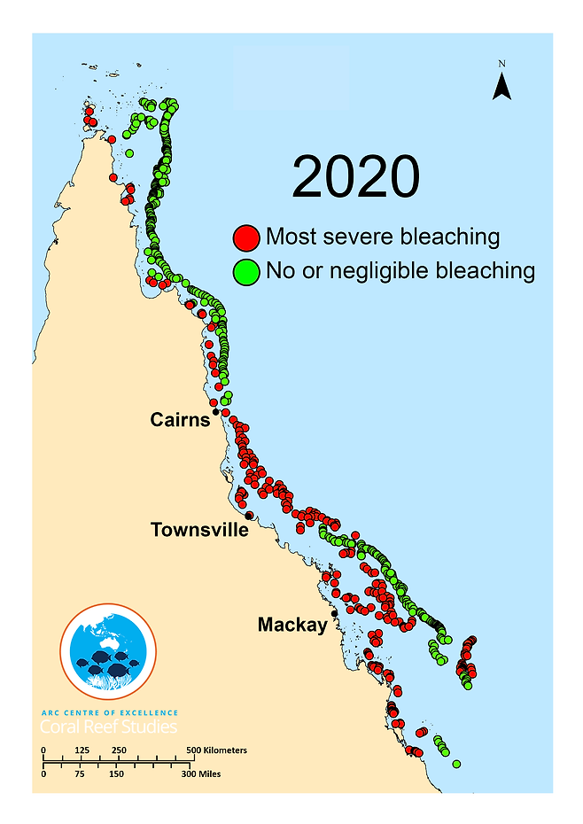 2020년 호주 그레이트배리어리프의 백화현상 현황. 빨간색은 백화현상이 일어난 지역, 초록색은 백화현상이 일어나지 않거나 발생 규모가 작은 지역. 호주연구협의회(ARC) 산호초연구센터 제공.