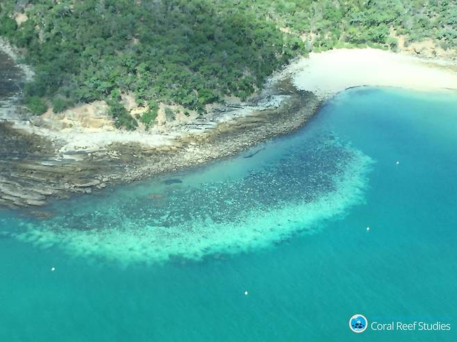 공중에서 촬영한 호주 레이트배리어리프의 백화현상 모습. 호주연구협의회(ARC) 산호초연구센터 제공.