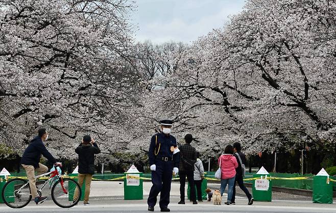 지난달말 일본 정부의 외출 자제 요청에도 벚꽃을 구경하러 인파가 공원과 거리로 나왔다. /AFPBBNews=뉴스1