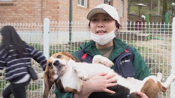 비글구조네트워크 봉사자의 품에 안겨있는 실험비글의 모습. 비글은 종 특성상 잘 물지않고 사람을 좋아하는 특성을 갖고있다. 왕준열