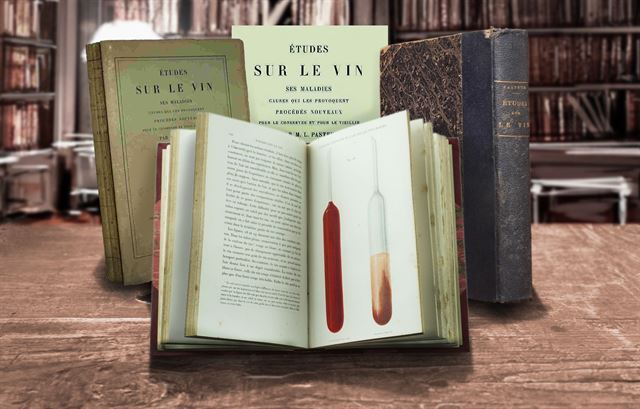 파스퇴르가 집대성한 책 ‘와인 연구(Etude sur le Vin)’(1866년) 초판본. 위키미디어 제공