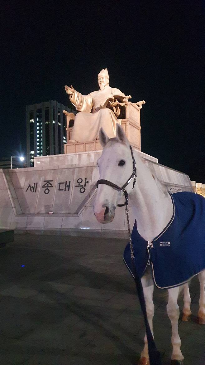 /사진=홀스마스터즈