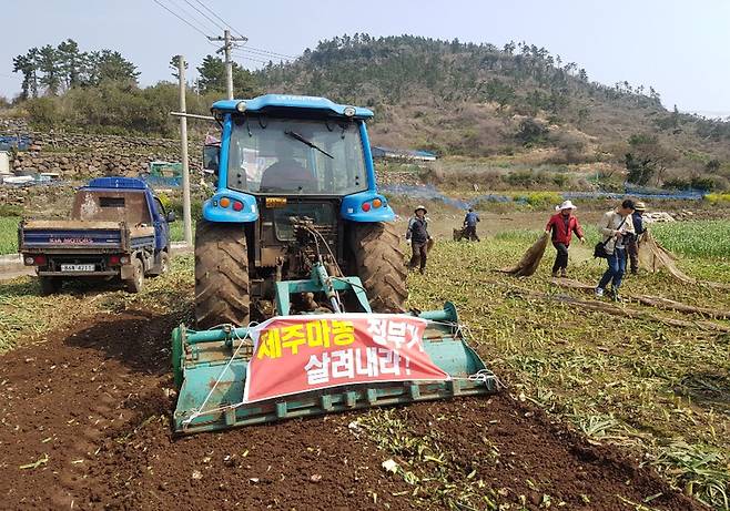 지난 3월 18일 제주 서귀포 안덕면의 마늘밭에서 마늘이 폐기되고 있다. 전국농민회 제공