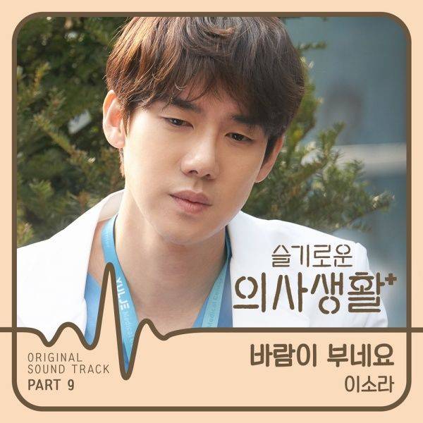 이소라 슬기로운 의사생활 OST / 사진=스튜디오 마음C 제공