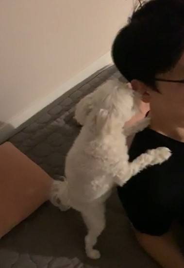 ah... /사진=이 상황을 즐기고 있는 남기자 아내.