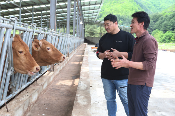 ‘홍천 사랑말한우 영농조합’을 찾은 오진균씨(사진 왼쪽)가 나종구 대표와 대화를 나누고 있다. 박미향 기자