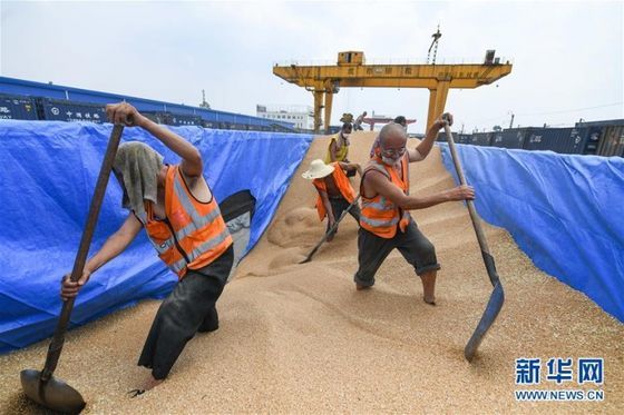 지난 10일 중국 쓰촨성 청두의 한 곡물창고에서 노동자들이 곡물을 옮기고 있다. [신화망 캡처]