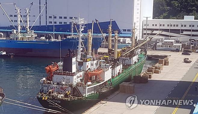 선원 집단 감염 러시아 선박 (부산=연합뉴스) 조정호 기자 = 23일 부산 감천항에 정박 중인 러시아 국적 냉동 화물선인 A호(3천401t). 이 배 선장 등 21명 중 16명이 코로나19 양성 판정을 받았다. 하역 작업 등을 위해 이 화물선에 올랐던 부산항운노조원과 선박 수리공 등 160명가량이 접촉자로 분류돼 조합원 대기실에 긴급히 격리됐다. 2020.6.23 ccho@yna.co.kr