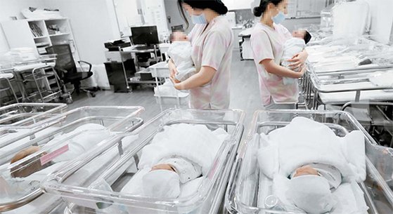 출산율이 지속적으로 하락하면서 지난해 합계출산율은 0.92명에 그쳤다. 갓 태어난 아기들이 간호사의 보살핌을 받는 대전의 한 산부인과 신생아실. [중앙포토]