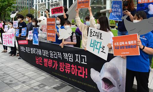 시민사회단체 관계자 및 회원들이 흰돌고래‘벨루가’폐사 관련해 남은 벨루가의 방류를 촉구 있는 모습.