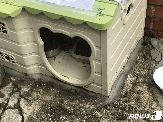 부산 남구 대연동의 한 주택가에 길고양이 급식소가 설치돼 있다.2020.07.31/뉴스1 © News1 이유진 기자