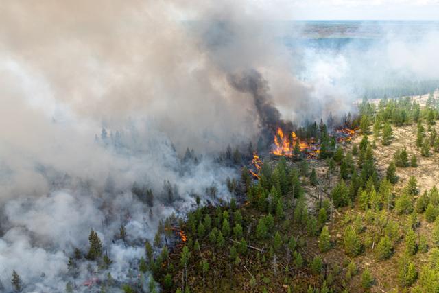 지난달 14일 시베리아 북서부 한티만시 자치구 소베츠키의 타이가에서 대형산불이 숲을 불태우고 있다. 타이가=타스 연합뉴스