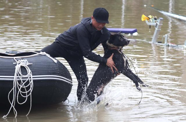 폭우가 내린 8일 오후 한 시민이 경남 하동군 하동읍 한 마을에 고립된 개를 구조해 안전지대로 옮기고 있다. 하동=연합뉴스