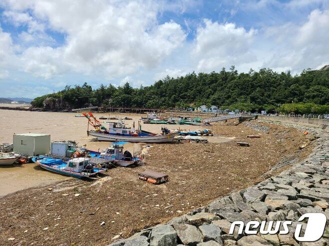 목포 연안을 뒤덮은 해양쓰레기.2020.8.11/뉴스1 © News1 김영선 기자