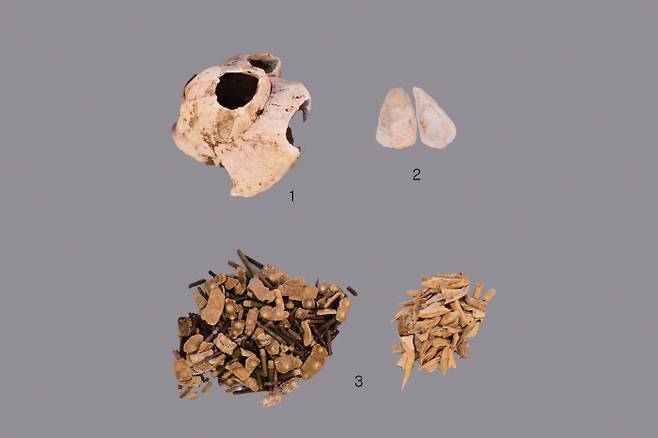 성게알 유체 모습. 신라왕족들의 식생활은  매우 다양했다.|국립중앙박물관 제공