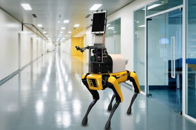 미국 보스턴의 브리검여성병원에서 환자 1차 진단을 도운 로봇개 스폿./MIT