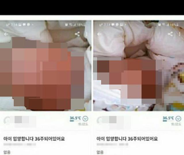 중고 물품 거래 유명 애플리케이션 '당근마켓'에 올라온 아기 입양 게시물 연합뉴스