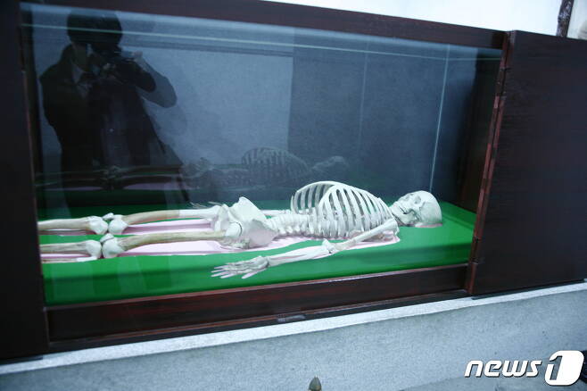 평양 조선중앙역사박물관에 전시돼 있는 단군 유골의 모형. (이준희 제공) 2020.11.07. © 뉴스1