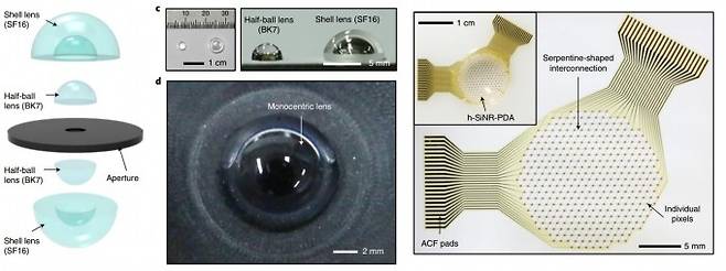 연구팀이 개발한 렌즈의 구조(왼쪽)와 완성된 카메라의 모습(가운데), 그리고 망막 역할을 모방해 제작한 구면에 적합한 이미지센서의 모습(오른쪽)이다. 네이처 일렉트로닉스 논문 캡쳐