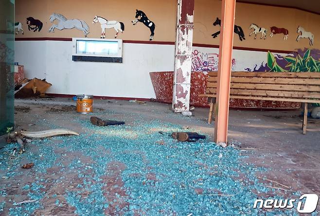 제주 애월읍 새별오름 근처에 방치된 과거 마상쇼장 건물 입구에 깨진 유리 조각이 널부러져 있다.2020.11.12/뉴스1© News1