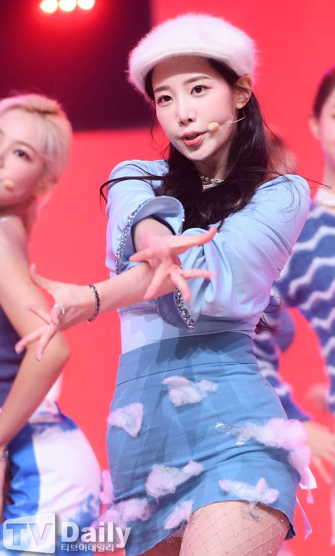 티브이데일리 포토