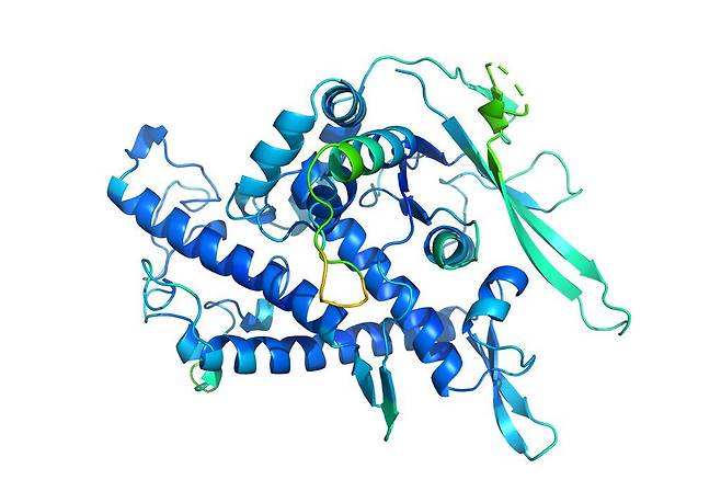 딥마인드의 인공지능이 밝힌 단백질 구조. 선들은 단백질을 이루는 아미노산들이 연결된 형태이다./딥마인드