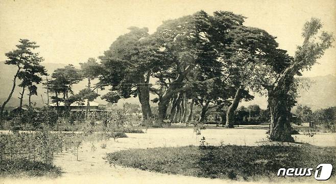 일제강점기 때 석왕사 관광을 위해 건설된 석왕사역 모습. (미디어한국학 제공) 2020.12.19.© 뉴스1