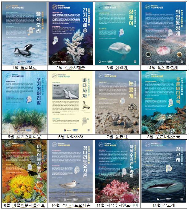 2020년 이달의 해양보호생물(해양수산부 제공)© 뉴스1