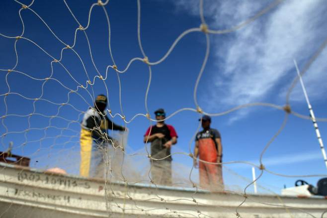 푸에르토리코에서 어부들이 그물을 치고 있다(사진=AFP)