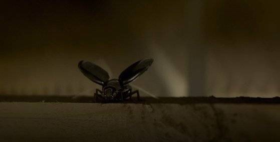 영화 '아이 인 더 스카이'에 등장한 곤충 스파이 로봇. 아이 인 더 스카이 예고편 캡쳐